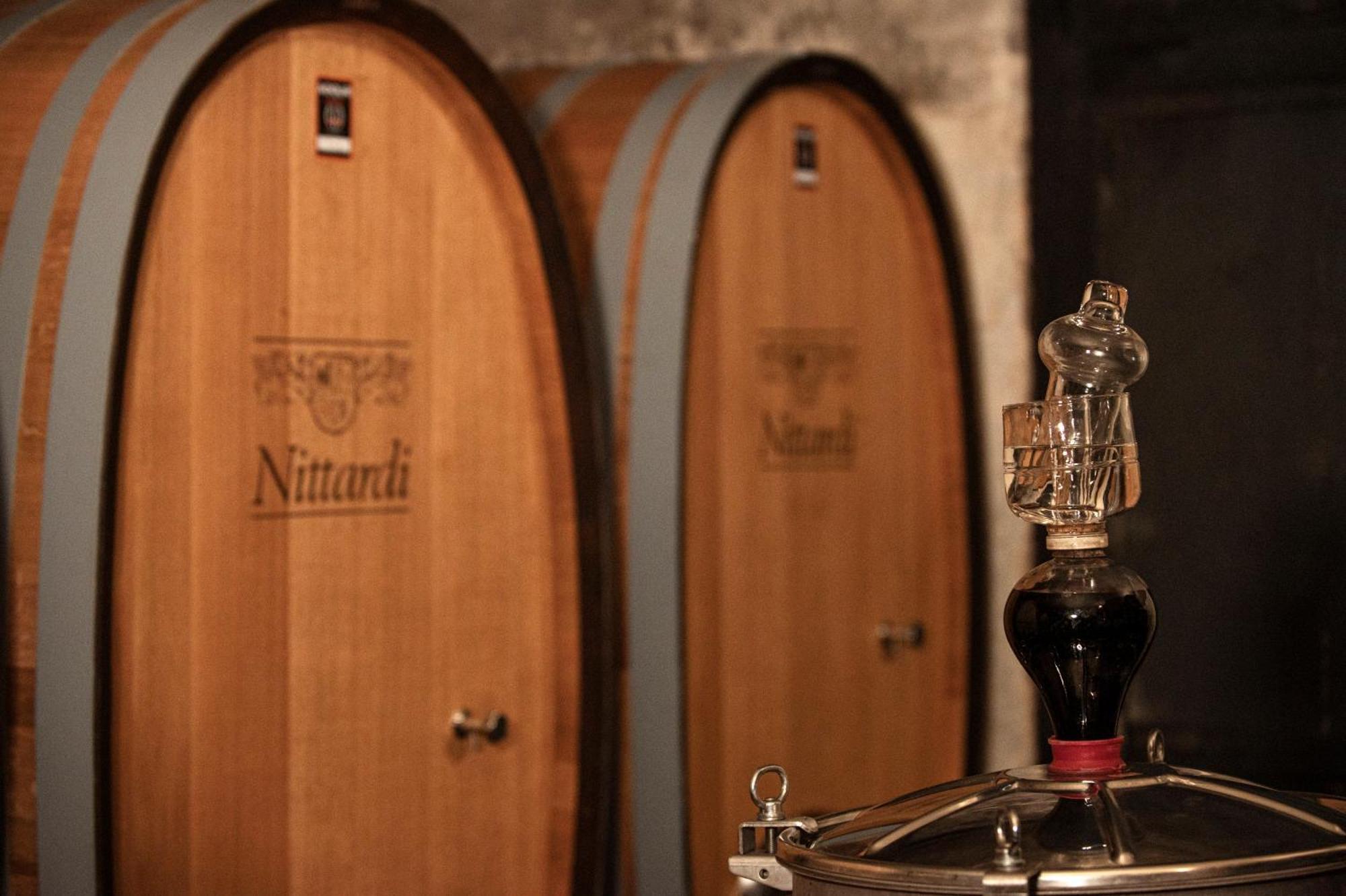 Nittardi Βίλα Castellina in Chianti Εξωτερικό φωτογραφία